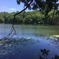 Rockefeller State Park Preserve (Pleasantville) - All You Need to Know ...