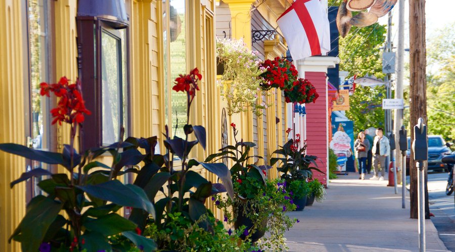 Hotel Front, beautifully kept, and alive with plants and flowers!