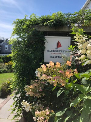 boarding house flowers nantucket