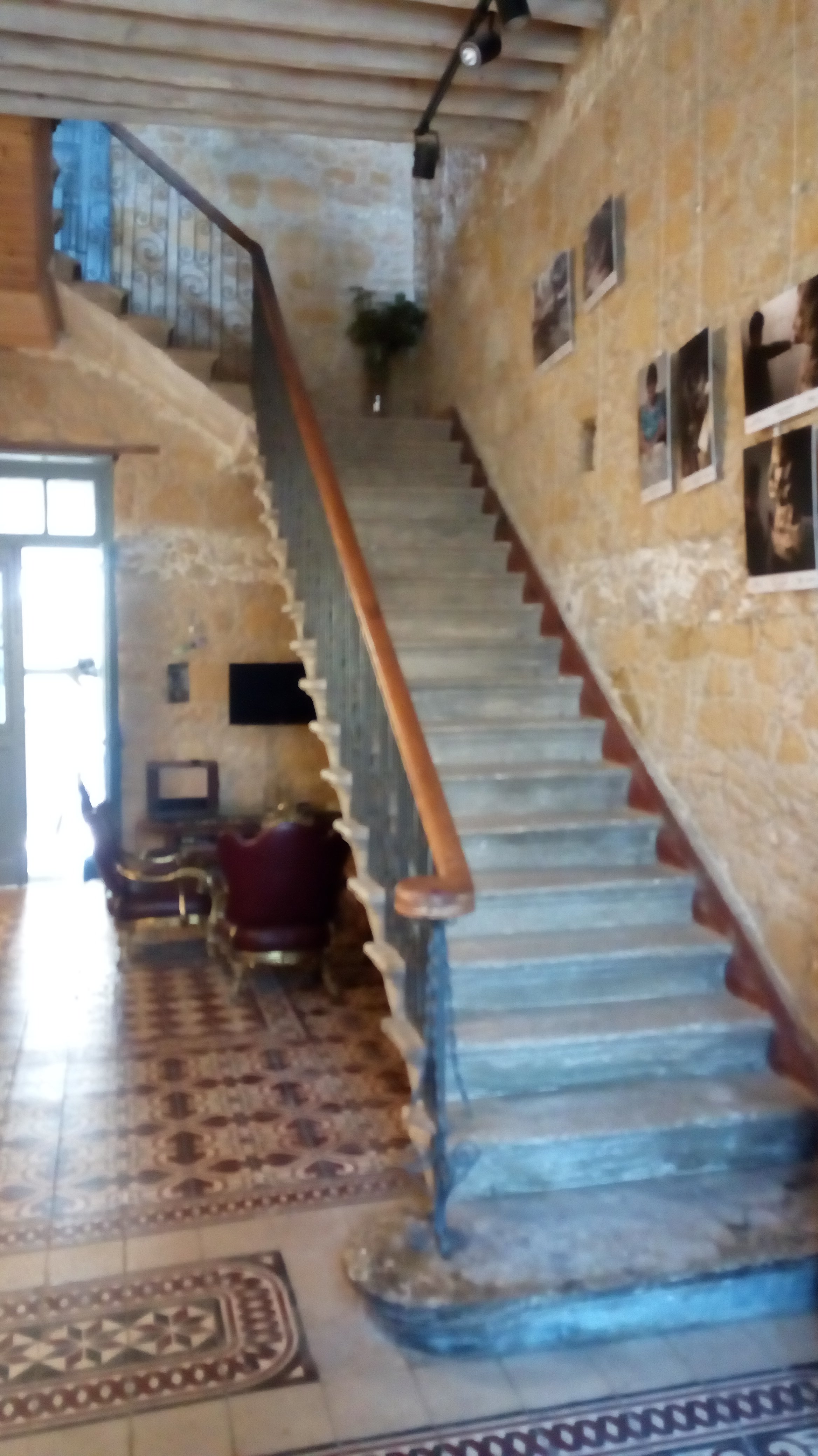 TASEV GUESTHOUSE B&B (Nicosia, Cipro): Prezzi 2022 E Recensioni