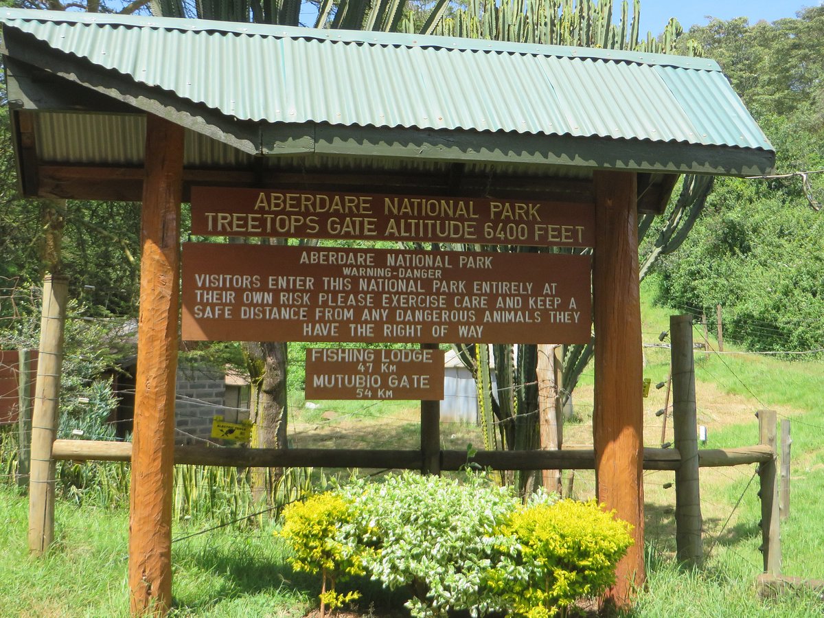 treetops safari park kenya