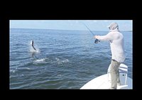 Greco's on the Fly Fishing Charters