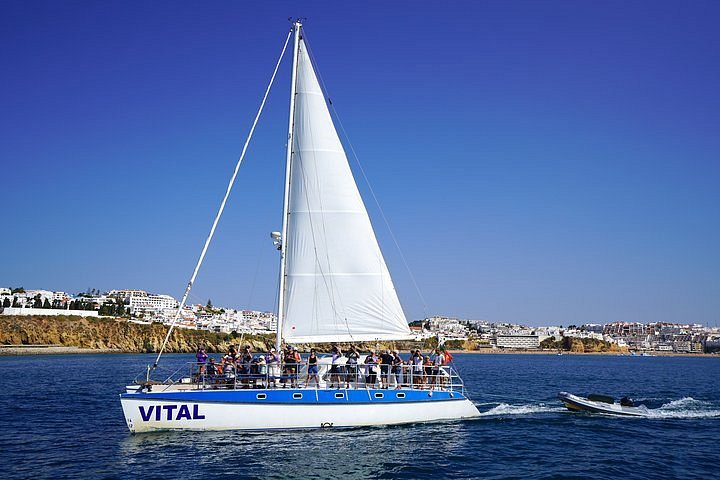buy catamaran portugal
