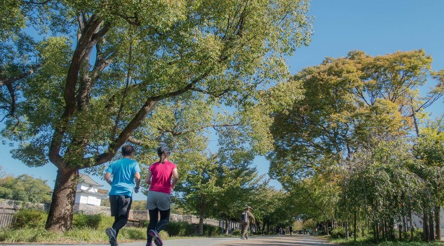 ホテル目の前には広大な大阪城公園。ジョギングやウォーキングなどお楽しみください。