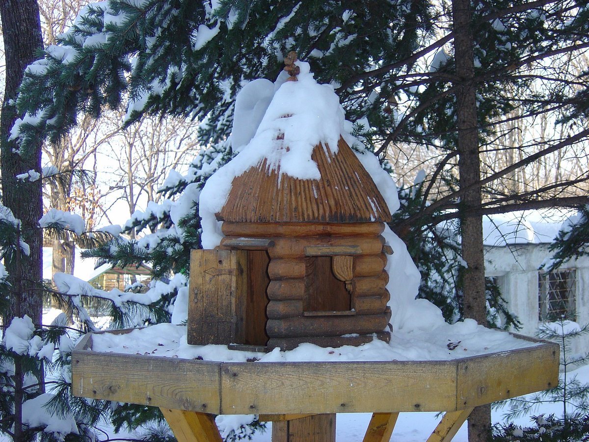 АМУРСКИЙ ЗАЛИВ САНАТОРИЙ (Владивосток) - отзывы и фото - Tripadvisor