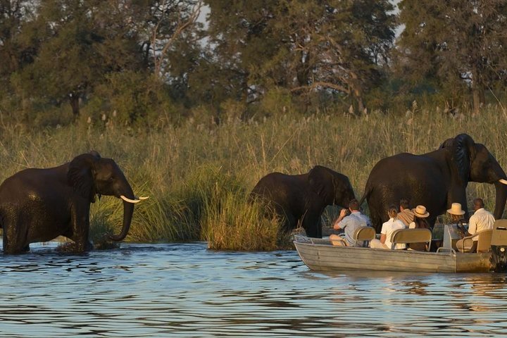 2024 Full Day Zambezi River Canoeing Experience With Pickup   Caption 