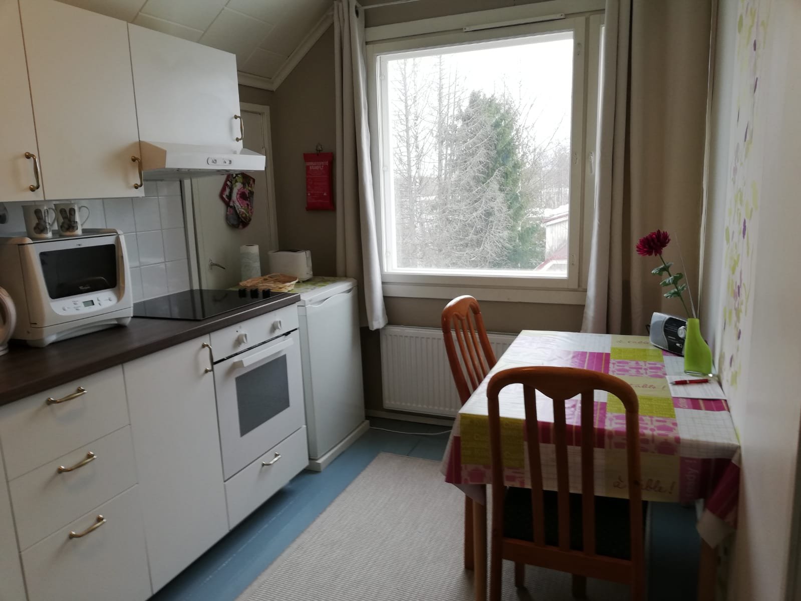 HOSTELLI MARJAN MATKAKOTI - Condominium Reviews (Mikkeli, Finland)