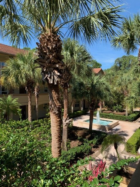 Hotel photo 30 of Blue Tree Resort.