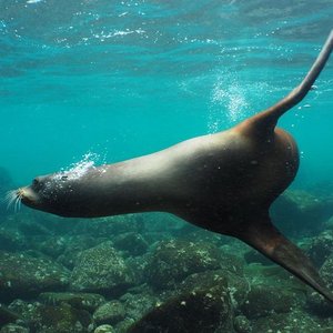 Galapagos Islands 2023: Best Places to Visit - Tripadvisor