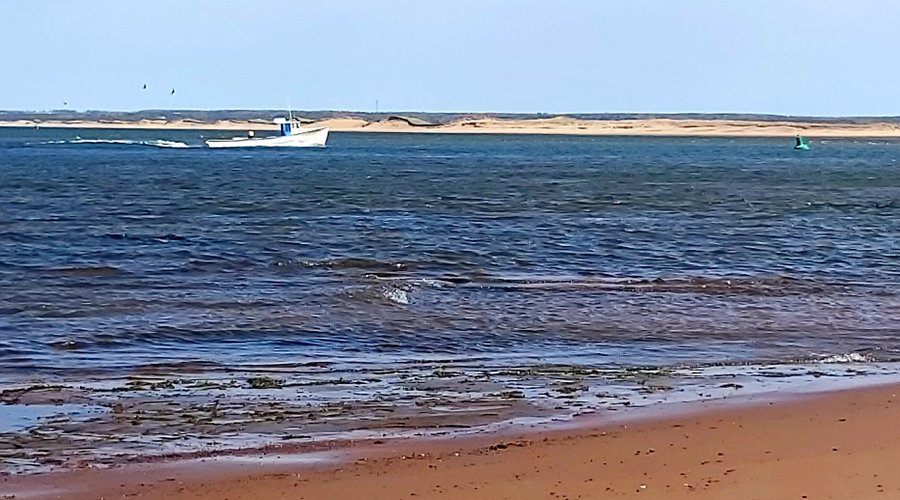 Nearby beach 