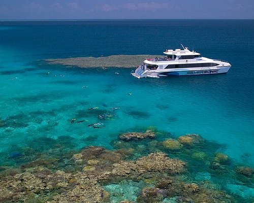 Rides Boat Cruises Great BEST Barrier (Updated 2024) THE Reef 10 &