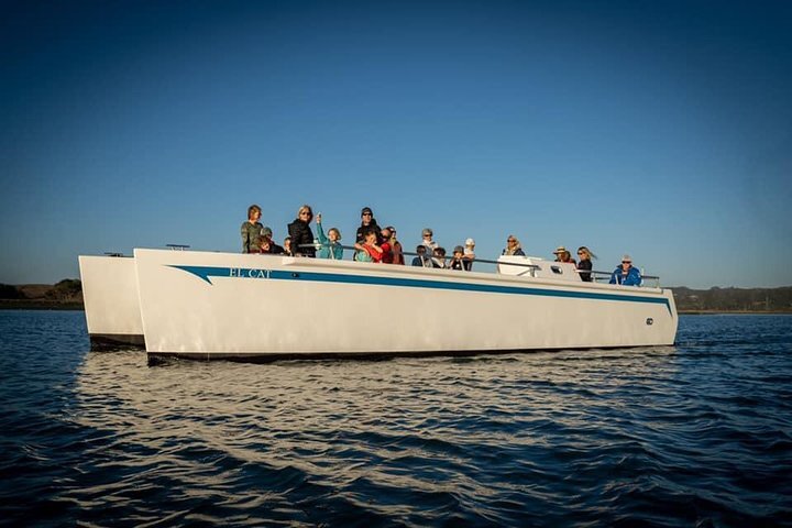 Santa Cruz Boat Rentals All You Need to Know BEFORE You Go with