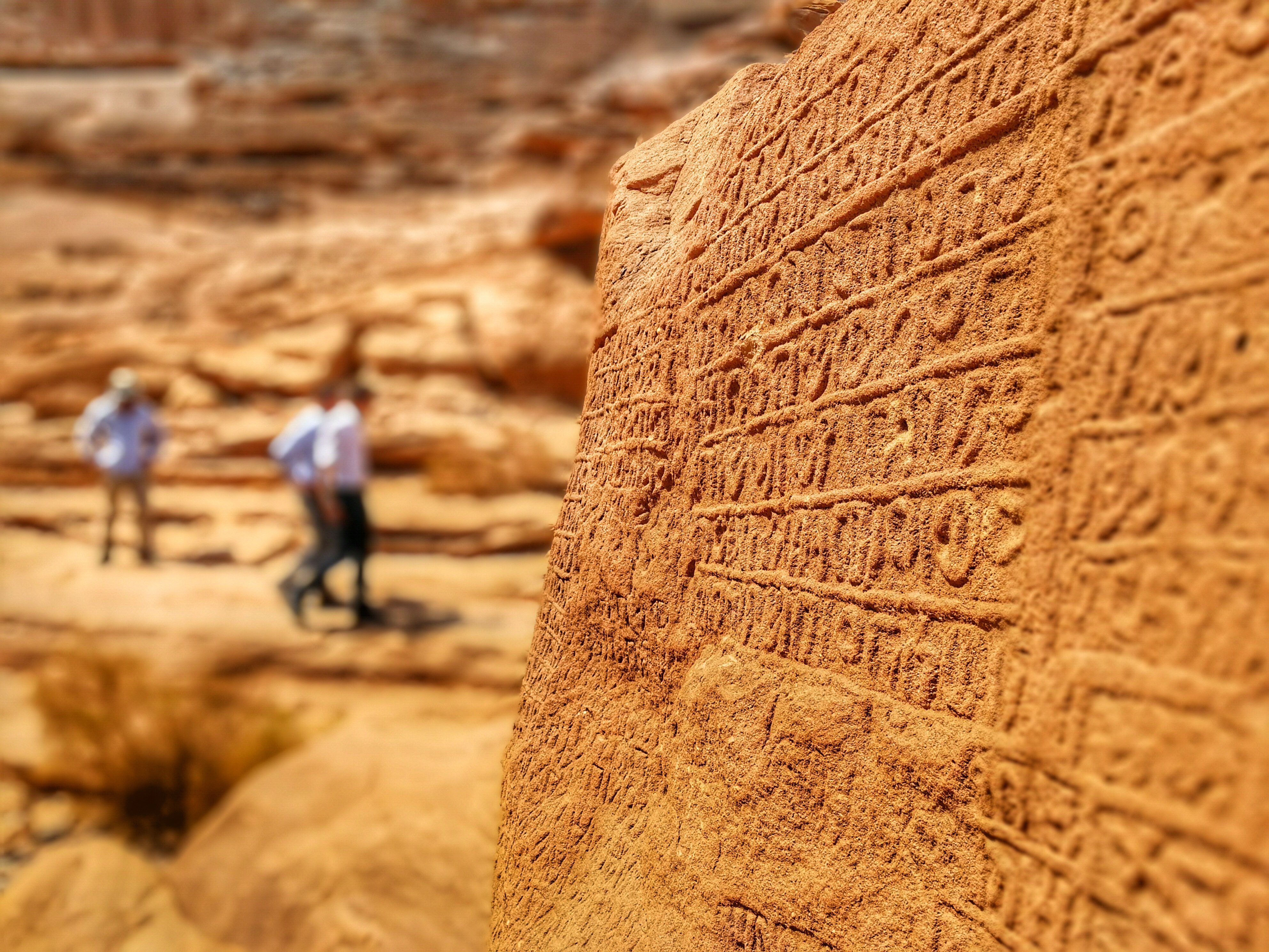 Dadan and Jabal Ikmah (AlUla, Saudi-Arabien) - anmeldelser billede