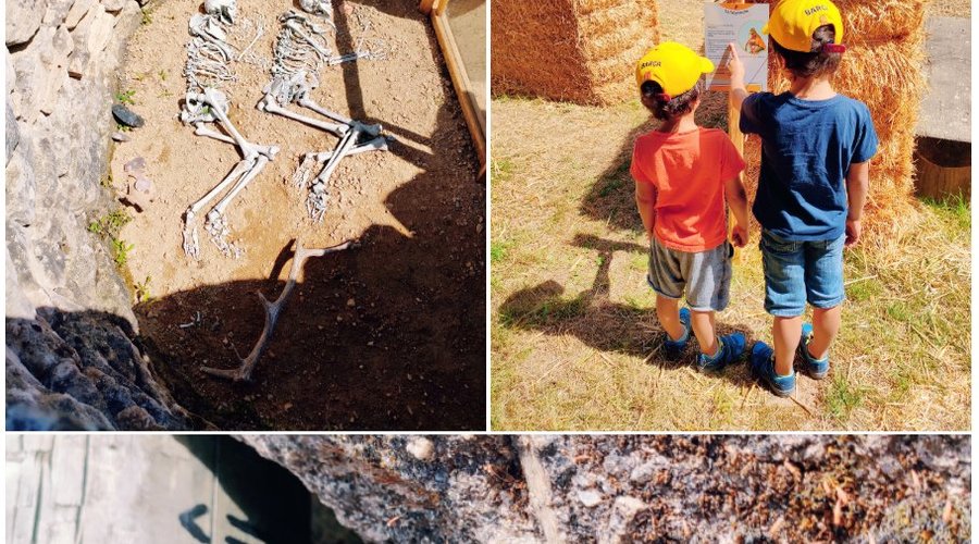 Jeux de piste cet été 2020 au Préhisto'site du CAIRN ! 

Pendant cette aventure, parcourez 4 univers : La grotte de l’évolution, Le village préhisto, le labyrinthe de paille de 200 m2 et le dolmen de Cro-Magnon !

Jeu de piste interactif à télécharger sur smartphone gratuitement ou à venir retirer en version papier à l’accueil du site. 

