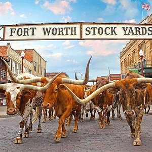 Clearfork Shopping Center, Fort Worth Texas Editorial Stock Photo
