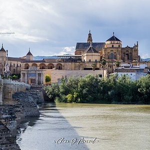 Calleja de las Flores (Cordoba) - All You Need to Know BEFORE You Go Calleja de las Flores (Cordoba) - All You Need to Know BEFORE You Go