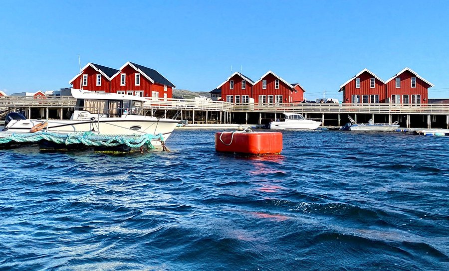 dating norway i osen