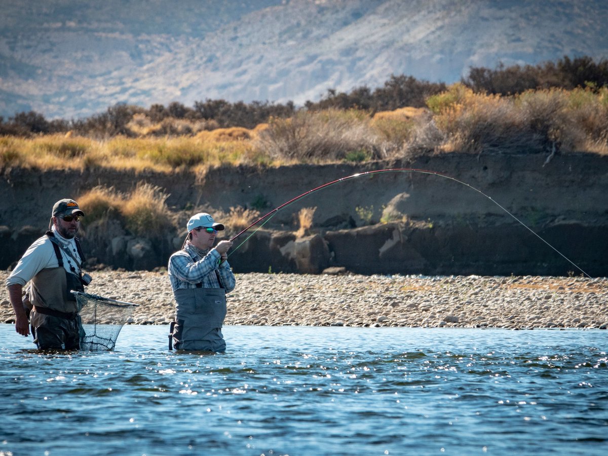 Fly Fishing in Patagonia - All You Need to Know BEFORE You Go (2024)