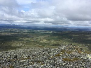 Utsikt från rummet