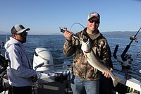 Howe's Fishing – A Able/Mo Fisch Charters and Tours - All You Need
