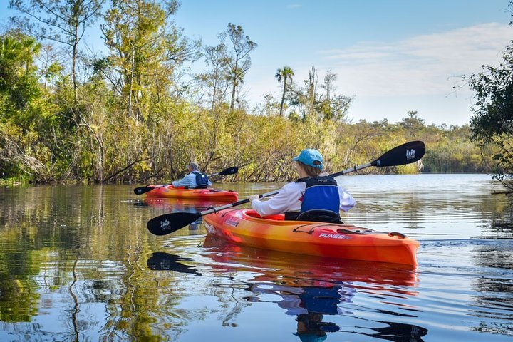 2024 Everglades Guided Kayak Tour   Caption 