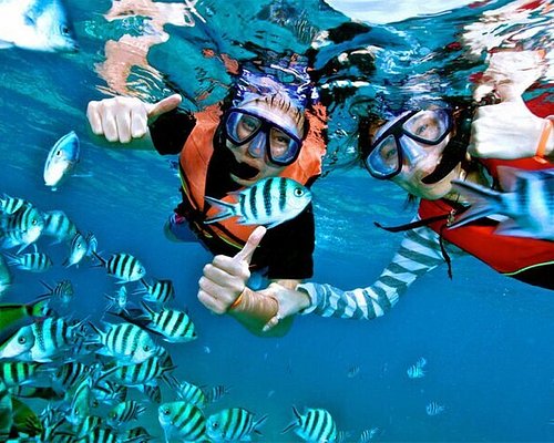 THE 5 BEST Galle District Scuba & Snorkeling Activities (with Photos) -  Tripadvisor