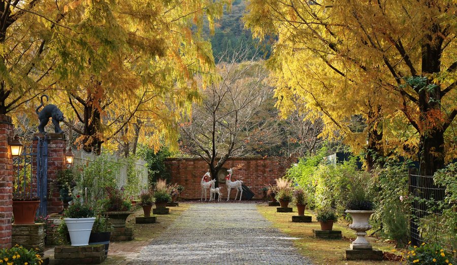 10月