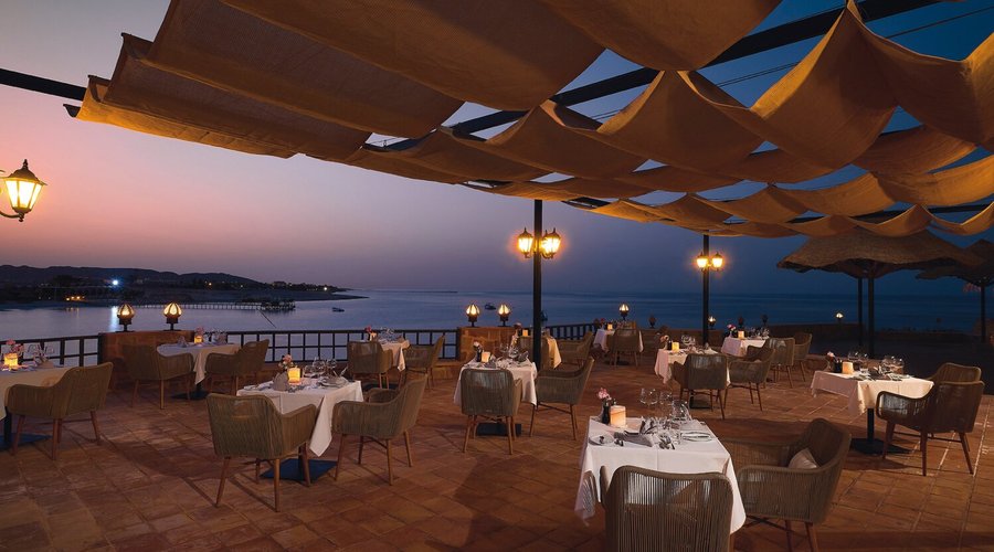 Seagull's Terrace