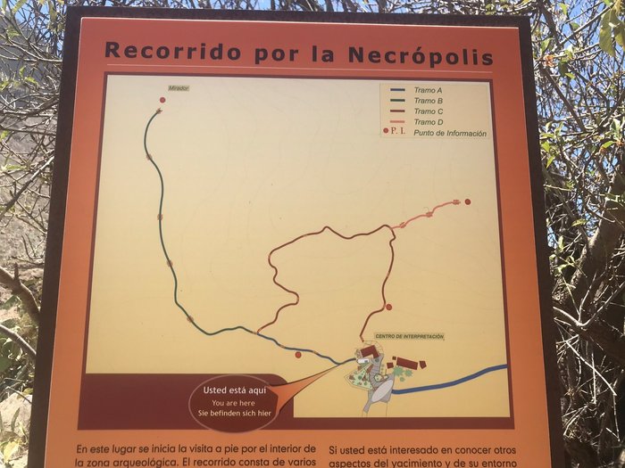 Imagen 8 de Necrópolis de Arteara