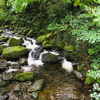 This is the view of the waterfalls at the footbridge looking towards the nature reserve... silence brings bird song of hundreds of birds who’s home it is....