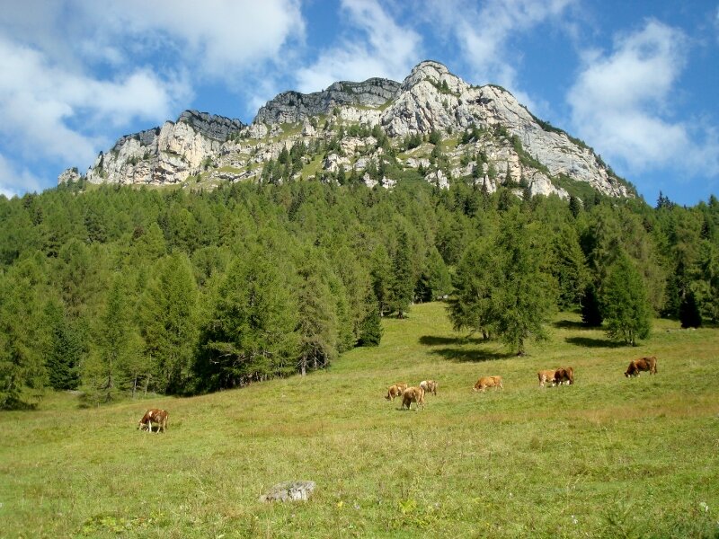 MONTE PENNA (Vodo Cadore) - 2023 Qué Saber Antes De Ir - Lo Más ...