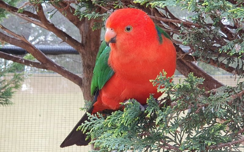 such beautiful colours