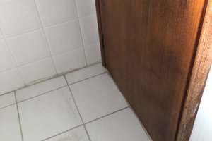 Viajero