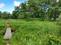 Bluff Spring Fen - Forest Preserves of Cook County