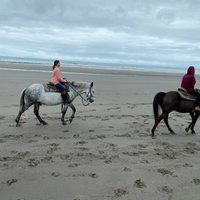 West Coast Horse Rides (Long Beach) - 2021 All You Need to Know Before ...