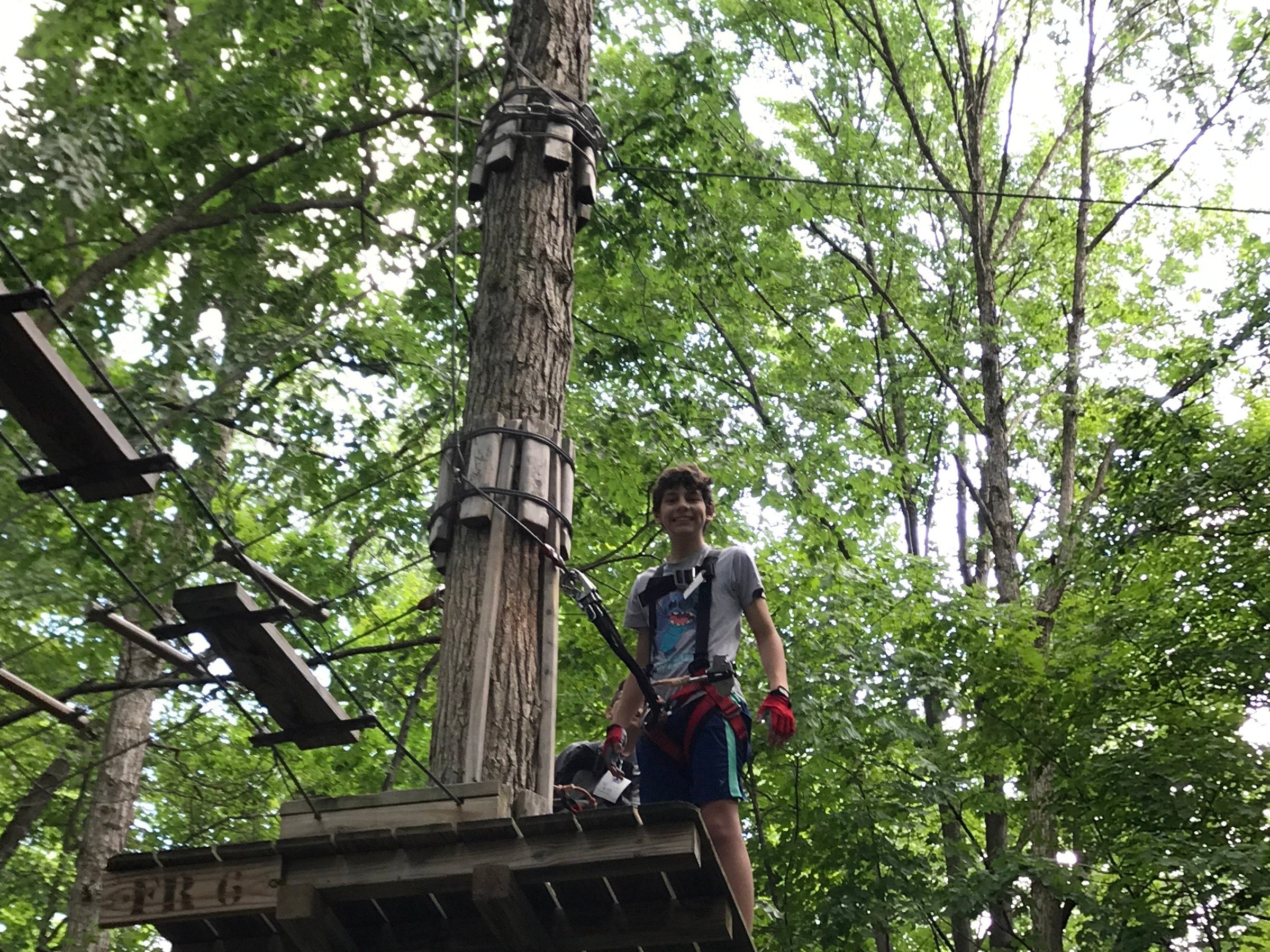 Frankenmuth Aerial Park Frankenmuth Aerial Park Yorumları Tripadvisor