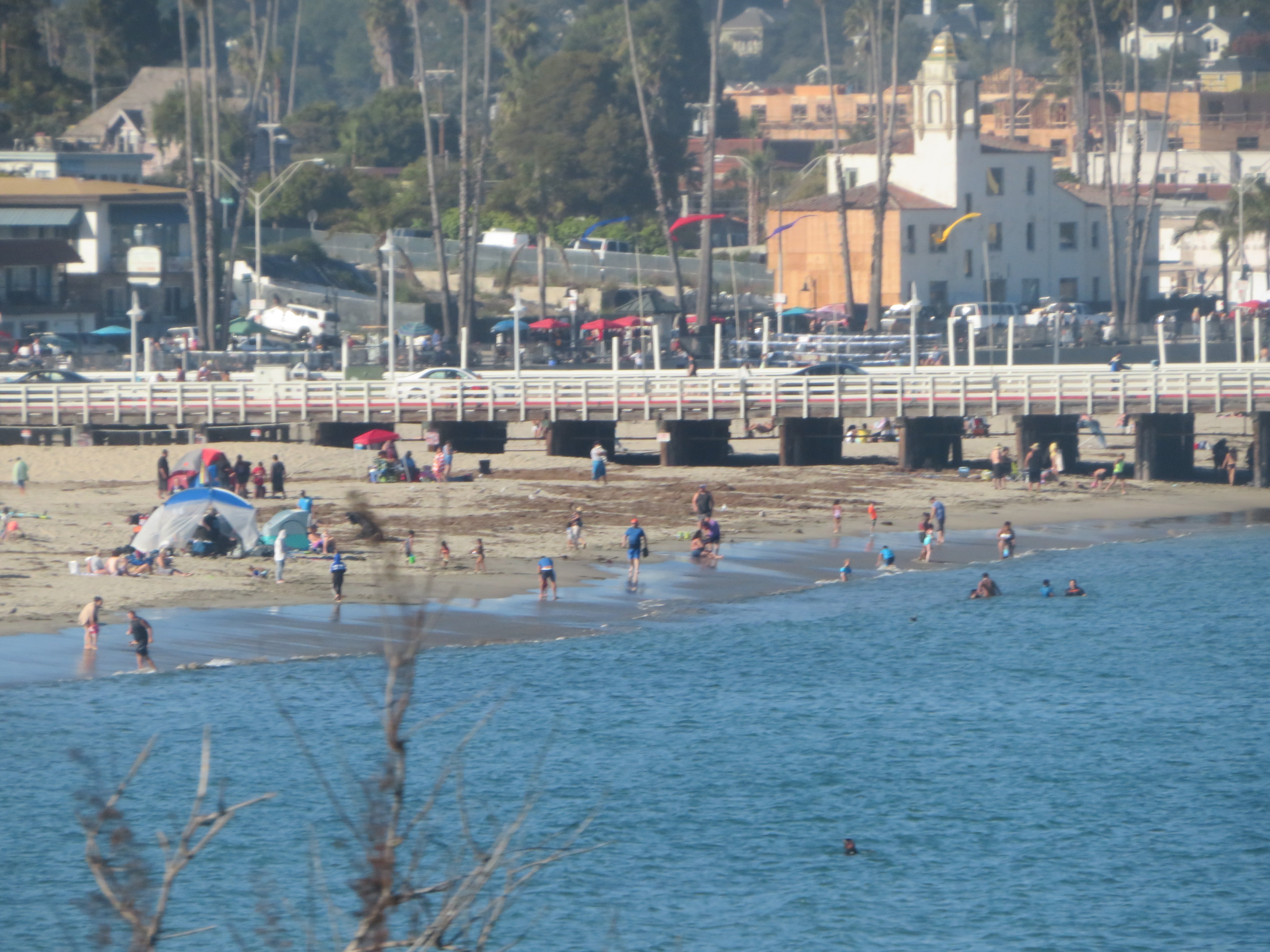 Santa Cruz Main Beach Everything to Know BEFORE You Go with Photos