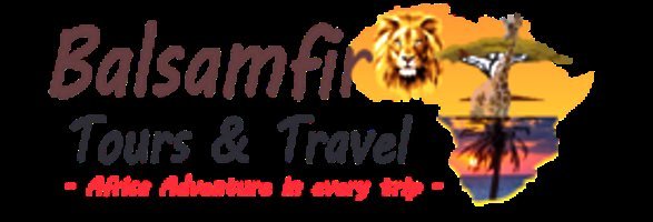 Maasai Mara Tours And Travel - All You Need to Know BEFORE You Go (2024)