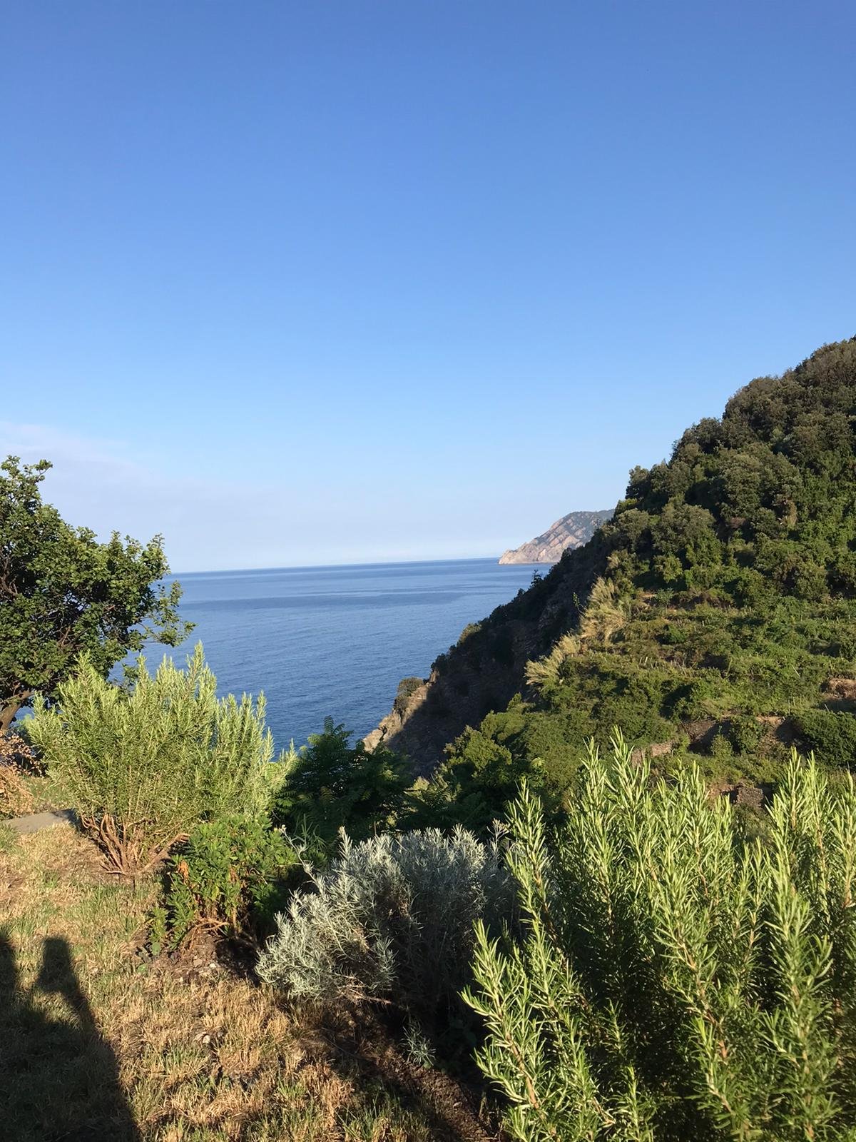 ARBANELLA (Corniglia, Cinque Terre): Prezzi E Recensioni (2024)