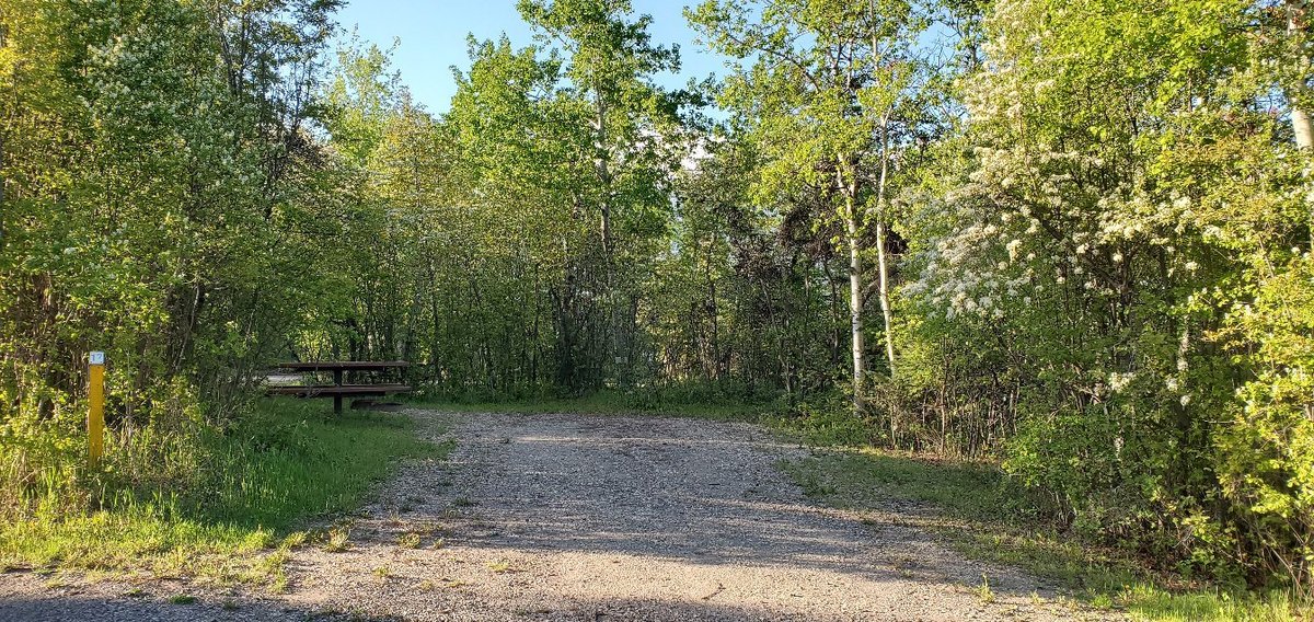 ANTHONY HENDAY CAMPGROUND: 2021 Reviews (Innisfail, Canada) - Photos of ...