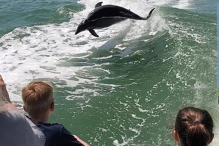 dolphin cruise little river sc