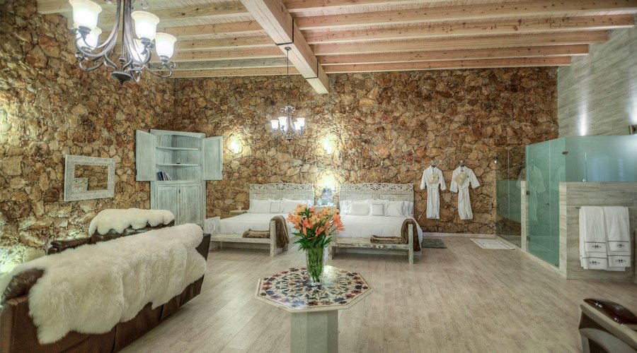 HABITACION PRESIDENCIAL DOBLE