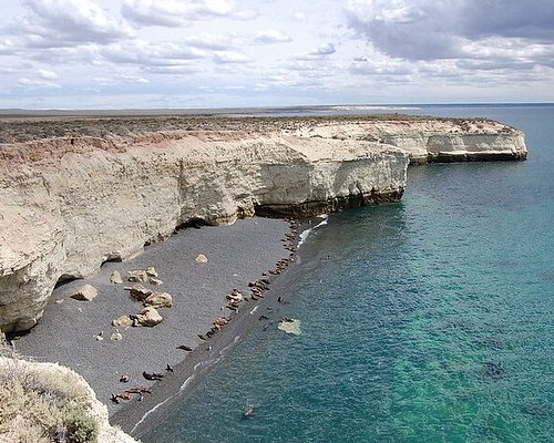 tours to puerto madryn