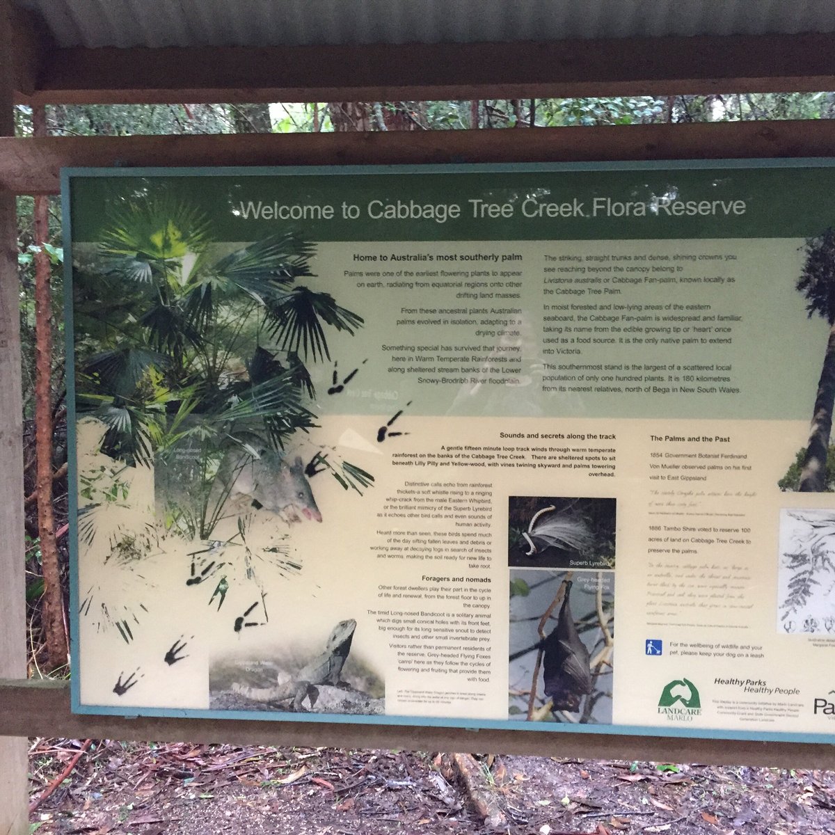 CABBAGE TREE CREEK FLORA RESERVE What Should I Know BEFORE I Go?