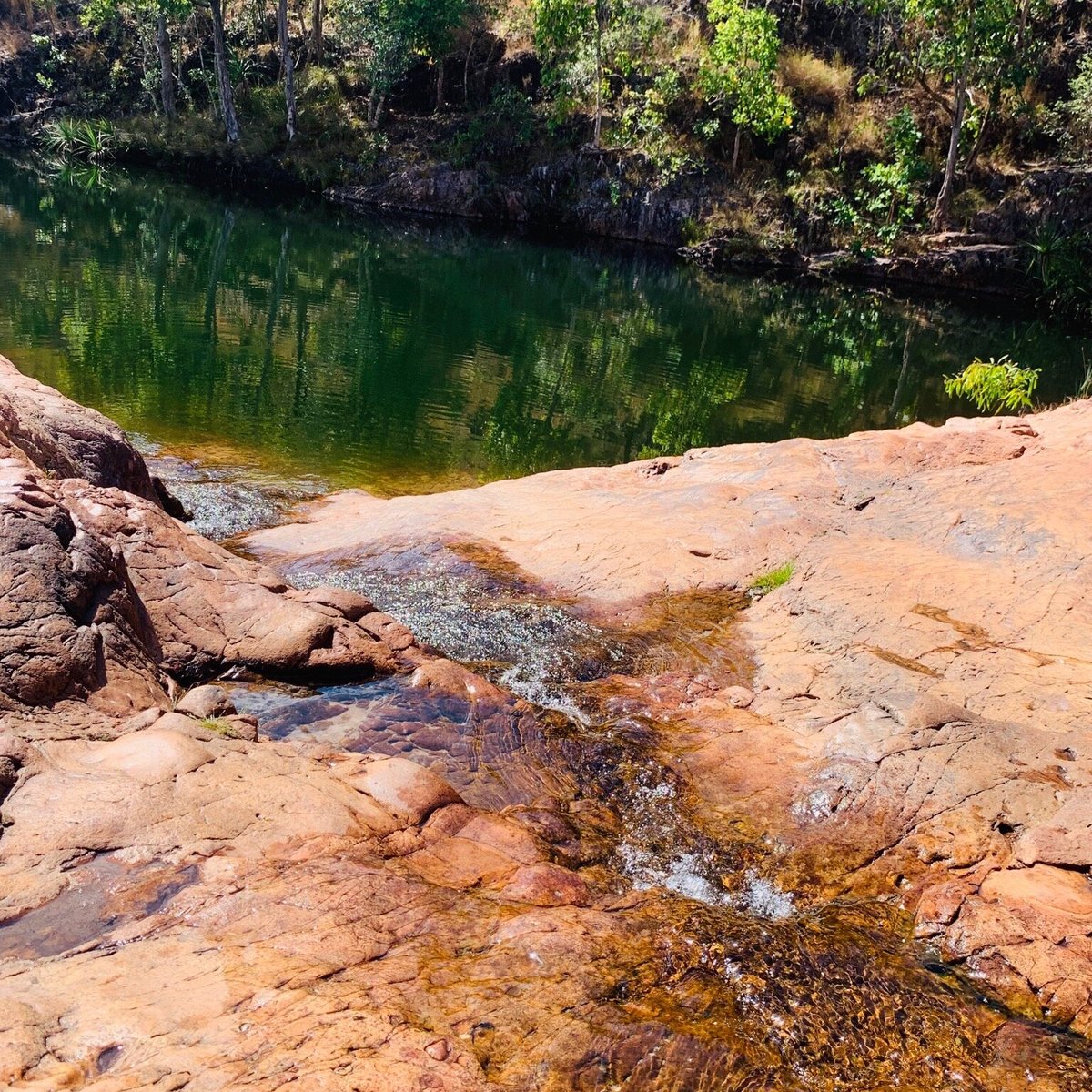 Surprise Creek Falls (Litchfield National Park): All You Need to Know