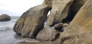 Bob Straub State Park (Pacific City) - All You Need to Know BEFORE You Go