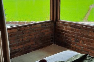 Kamar & Suite