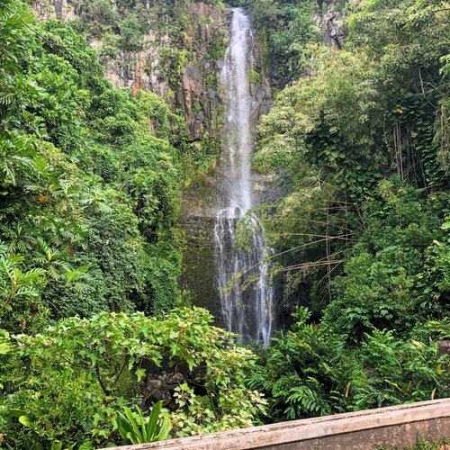 THE 15 BEST Things to Do in Maui - 2022 (with Photos) - Tripadvisor