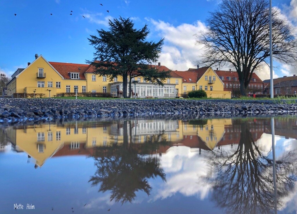 THE 10 BEST Moen Pet Friendly Hotels 2023 Prices) - Tripadvisor