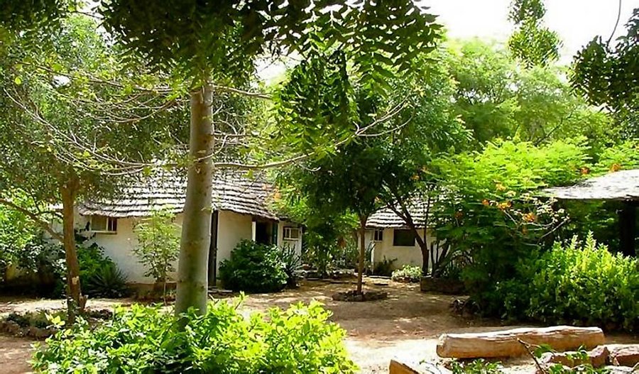 Les cases dans le jardin verdoyant